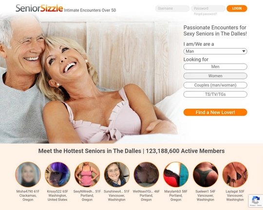 Seniorsizzle.com Logo